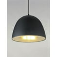 thumbnail image 3 of ET2 Lighting E24914-BKSBR 16 in. Fungo LED Pendant in Black & Satin Brass, 3 of 5