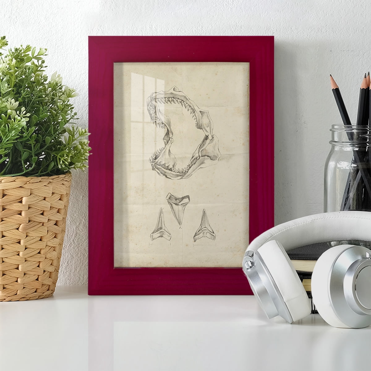Shark Study II - Framed Print w/glass - Cherry Red