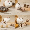 thumbnail image 6 of JanYoo Rabbit Chew Toys for Teeth Wooden Natural Guinea Pig Accessories Cage Bunnies Grinding Organic Sticks Set (7 Pack), 6 of 7
