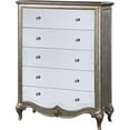 thumbnail image 1 of ACME Esteban Chest in Antique Champagne Silver Finish, 1 of 5