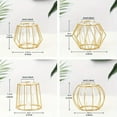 thumbnail image 5 of Golden Glass Vase Terrarium Geometric Iron Line Vase Hydroponic Plant Flower Vase Metal Plant Holder Home Decor Modern, 5 of 5