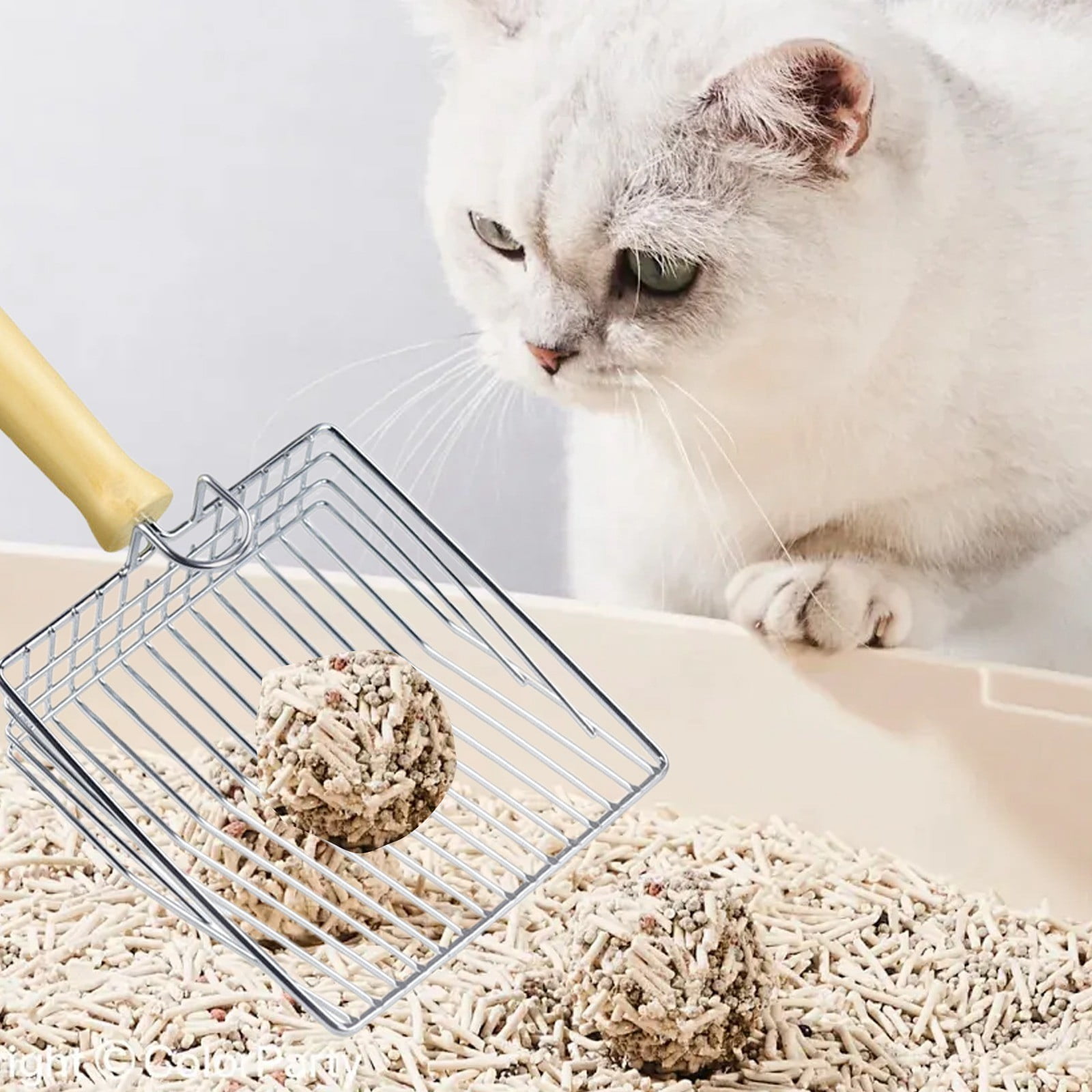 Extra Large Heavy Duty Cat Litter With Hanging Design Ultimate Clumping And Easy Tool