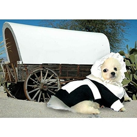Dog Costume PILGRIM GIRL COSTUMES Dress Your Dogs For Thanksgiving(Size