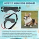 thumbnail image 4 of Cool Sun Goggles For Pets, Small Dog Goggles Uv Protection Doggy Sunglasses, Outdoor Glasses With Adjustable Strap, 4 of 5