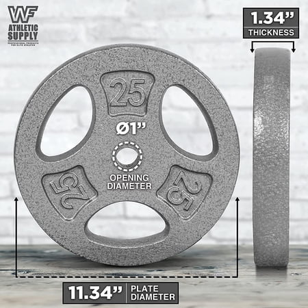 Cast Iron Weight Plates Set of 2 - 25 lbs Each for Strength Training