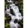 thumbnail image 2 of Taylor, Douglas 13x18 White Modern Wood Framed Museum Art Print Titled - Trailside Waterfall I, 2 of 4