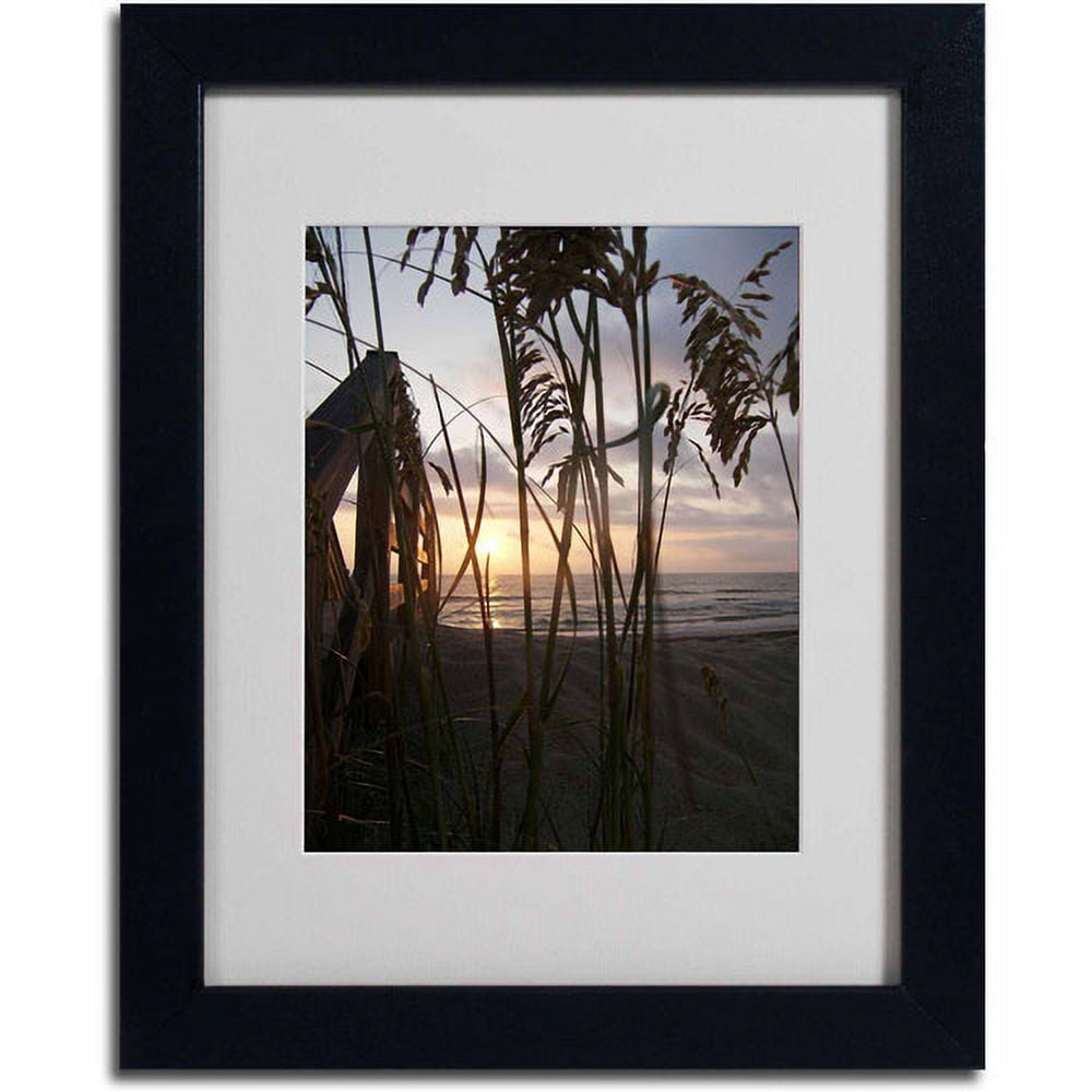 Trademark Fine Art "Hidden Life" Canvas Art by Monica Fleet, Black Frame