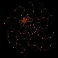 thumbnail image 2 of 36" Orange and Black LED Lighted Striped Creepy Spider Hanging Halloween Decor, 2 of 3