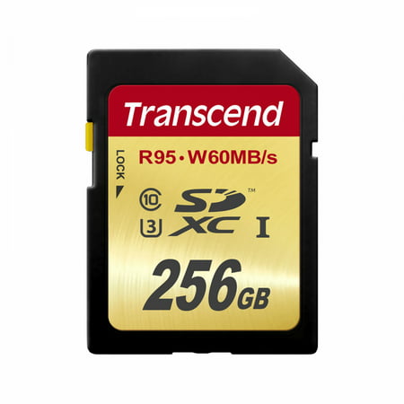 UPC 760557831143 product image for Transcend 256GB SDXC UHS-1 U3 Class 10 Memory Card | upcitemdb.com