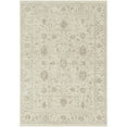 thumbnail image 2 of Nourison Outlines 5'3" x 7'3" Ivory Vintage Indoor Rug, 2 of 8