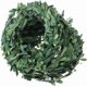 thumbnail image 3 of 32.8 YARDA ARTICAL SCREEN GREEN LEAVES GREEN LEAVES FAKE HUNDRING DIY BRANDS FOR Wedding Party, 3 of 3
