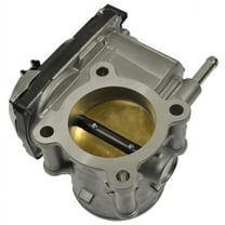 Fuel Injection Throttle Body