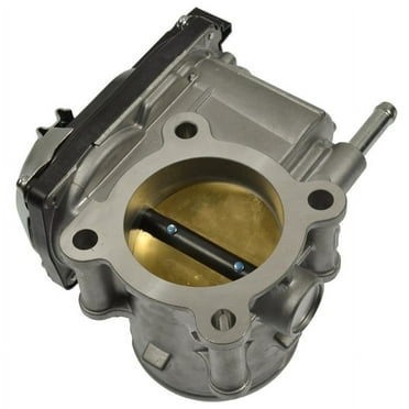 Fuel Injection Throttle Body
