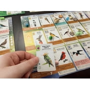 Wingspan Americas Expansion by Elizabeth Hargrave - Add to Wingspan from Stonemaier Games