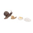 thumbnail image 4 of Modelo de ciclo de vida, ciclo de crecimiento de caracoles, modelo de ciclo de crecimiento de insectos, modelo de ciclo de vida de insectos, calidad inigualable, 4 of 8