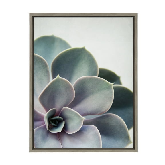 Kate and Laurel Sylvie Succulent 5 Framed Canvas by F2 Images, 18x24 Gray