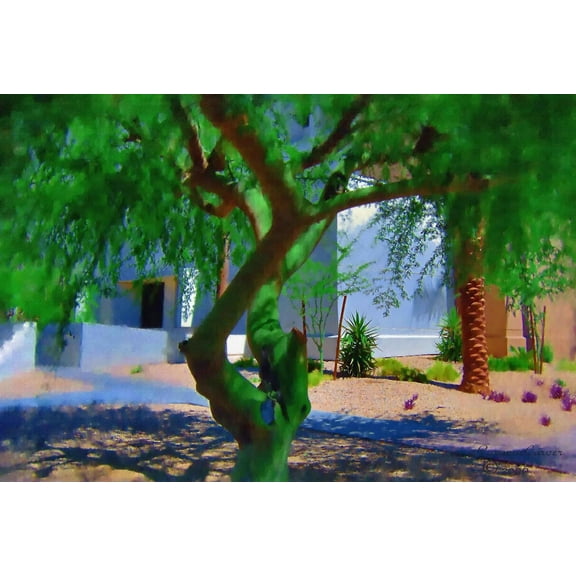 Tymeless Wonders Arizona Tree Wall Decal