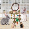 thumbnail image 2 of jouets Mcher Pour Lapin, Jouets Snacks Pour Petits Animaux, Jouets De Cochon D'inde, Soins Des Dents Pour Hamster Cochon D'inde Chinchilla Perroq, 2 of 5