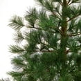 thumbnail image 5 of Nearly Natural 3ft Yukon Mixed Pine Artificial Christmas Tree, 5 of 7