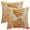 Orange, variant on Unique Bargains Pack of 2 Soft Palm Leaf Pattern Cushion Case Light Blue 18" x 18"