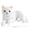 White, variant on Realistic Plush Cat Pillow, Lifelike Stuffed Animal Cushion for Home Decor, Soft Huggable Throw Pillow for Sofa Bed, Cozy Adult Plush Decorative Accent