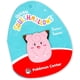 thumbnail image 4 of Pokémon tipo Hada Clefairy SQPK00036 Toy Squishmallows, 4 of 6