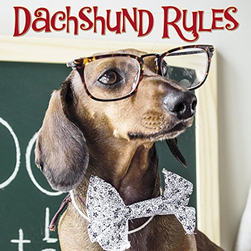 Pre-Owned Dachshund Rules (Hardcover) 1682347745 9781682347744