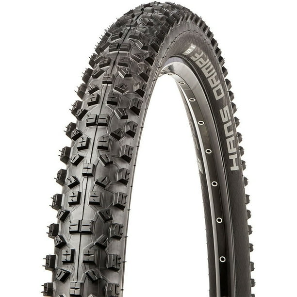 schwalbe tlr meaning