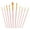 Pink, variant on Miangastore Paint Brushes Watercolor Set Nylon 1Set 0.8X1.2X7.5In For Art Creation Hobbyists