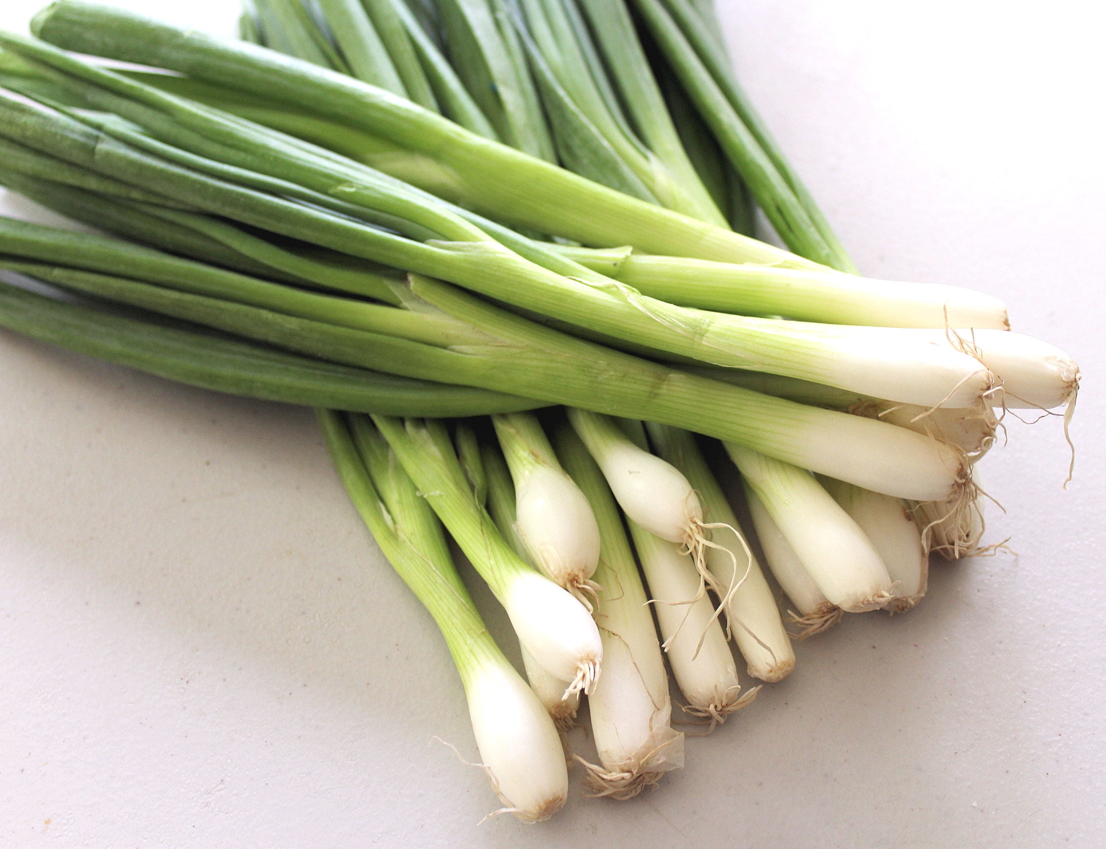 SEEDS = = =100 Seed Garden PackNebuka Bunching Onion Tasty pearl