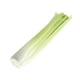 thumbnail image 4 of 1 Unids Artificial Apio Simulación Pantalla Alto Realismo Verduras Comida Juguetes Para , Herramientas De Educación Escolar Yotijar Artificial Vegetable Craft, 4 of 9