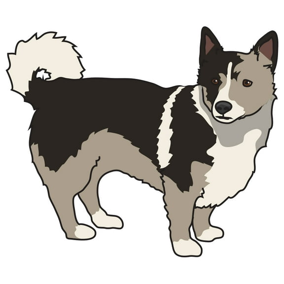 Swedish Vallhund Decal | Indoor/Outdoor | Dog Lover Super Cute Sticker for SUV Windows, Dorm Rooms, Bedroom, Offices | SignMission personalized gift | 18"
