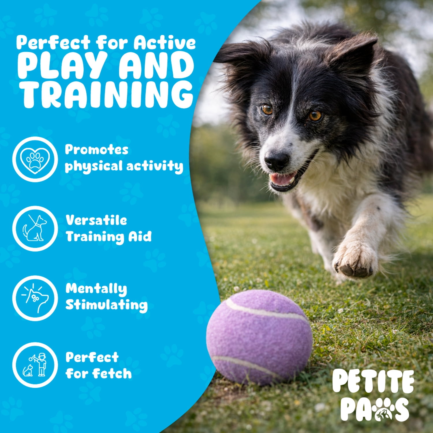 Petite Paws Colorful Squeaky Tennis Balls for Large Dogs and Puppies — 2.5-Inch, 12-Pack — High-Bounce Fetch Toy