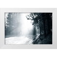 thumbnail image 1 of Murdock, Ramona 18x13 White Modern Wood Framed Museum Art Print Titled - Light in the Forest III, 1 of 4