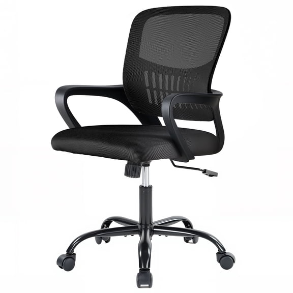 EDX Ergonomic Office Desk Chair, Lumbar Support, Fixed Armrests, 350lbs, for Home, Office & Bedroom, Black