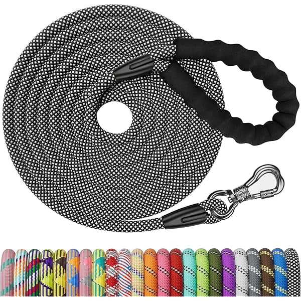 Chenchen 10FT Training Leash for Dog,Reflective Nylon Rope Lead with Swivel Lockable Hook and Comfortable Handle,Puppy Leash Lead for Small Medium Large Dogs Training,Playing,Camping,or Backyard