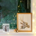 Healthy Document Frame Clear Document Frame for Certificates and Diplomas, 20x18.5cm Award ...
