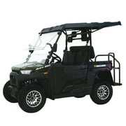 Massimo Buck 250X Side by Side 2WD 177cc EFI 12hp, Gas Golf Cart UTV - Green