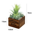 thumbnail image 2 of Planta en maceta carnosa del pote de madera cuadrado de Laklulu, bonsái artificial de la flor de la decoración de la planta, 2 of 5