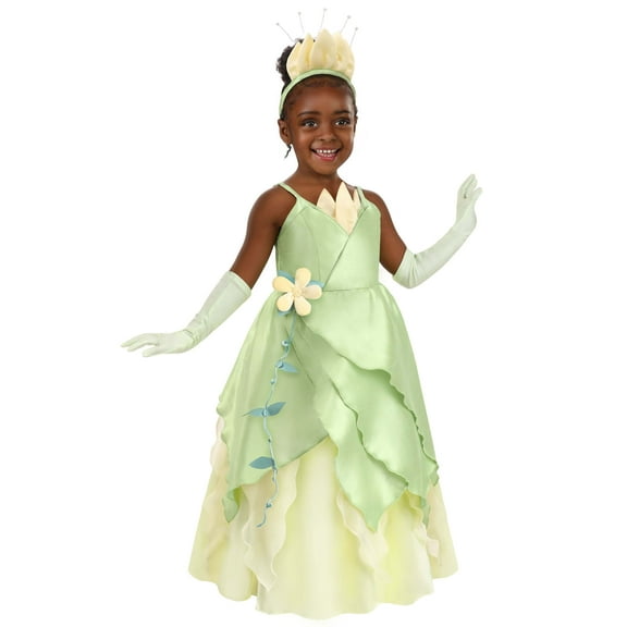 Girl's Toddler Disney Princess and the Frog Tiana Costume