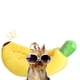 thumbnail image 4 of Banana Bed for Dogs Cozy Soft Cat Mattress Cute Dog Bed Suitable for Cats and Dogs, 4 of 4