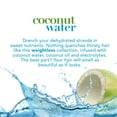 OGX® Weightless Hydration + Coconut Water Shampoo, 13 Fl OZ