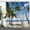 Color 55, variant on GOOESING Beach Shower Curtain Summer Seaside Scene Ocean Island Tropical Palm Leaf Waterproof Washable with Hooks,72" Wx72 L