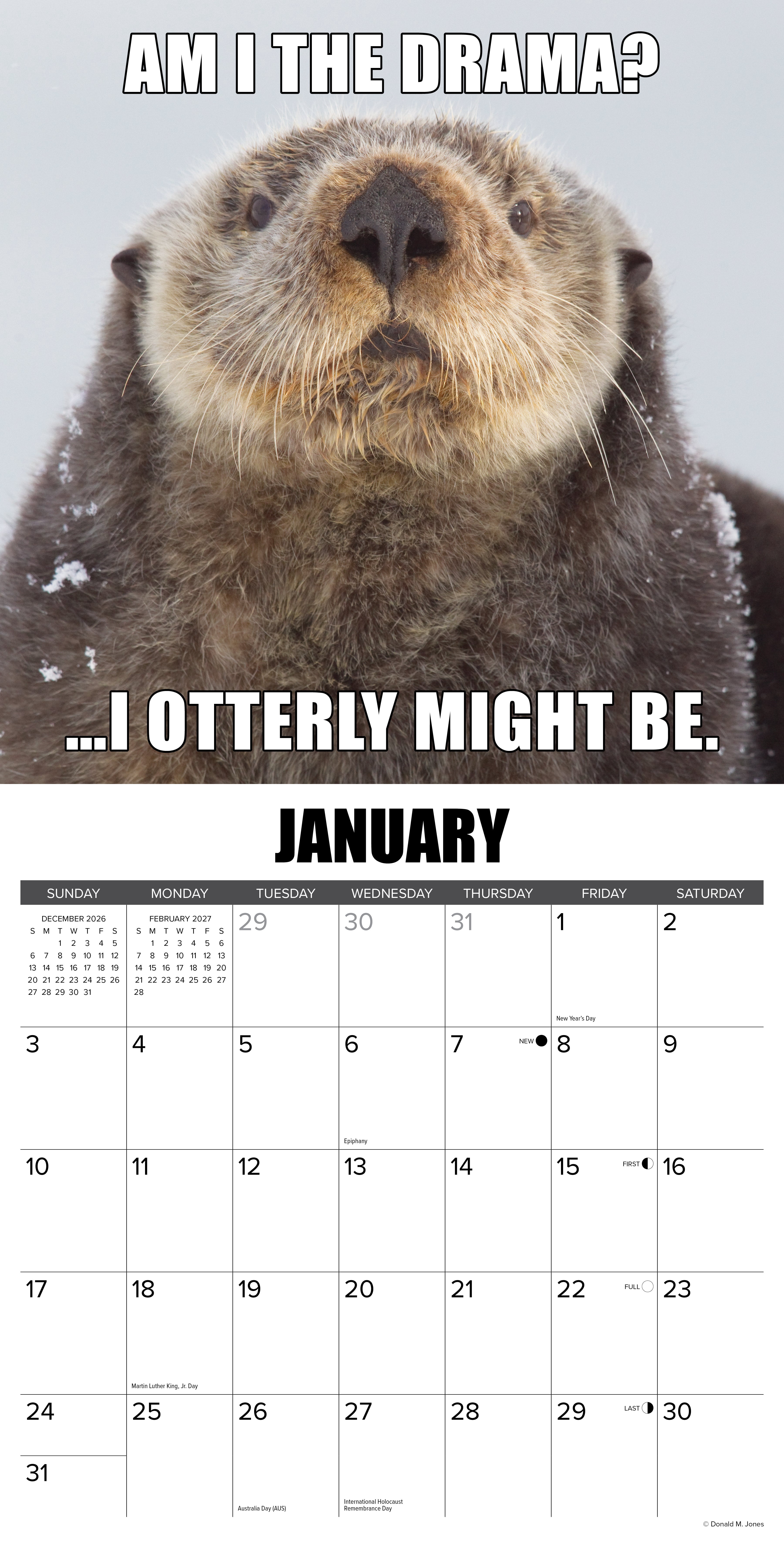 Willow Creek Press, In Otter News 2027 Wall Calendar