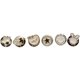 thumbnail image 1 of Injueey 30 piezas camisa suéter vástago botón reemplazo ropa abrigo botones de Metal broche Pin gemelos insignia accesorios de costura Tela de costura y artesanía Blanco/28-33 Injueey HA008252-02, 1 of 6
