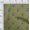 Moss Green, variant on oneOone Organic Cotton Poplin Twill Fabric Leaves & Floral Block Print Fabric BTY 42 Inch Wide