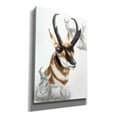 thumbnail image 2 of Epic Graffiti 'Pronghorn' by Barbara Keith, Canvas Wall Art, 18"x26", 2 of 2