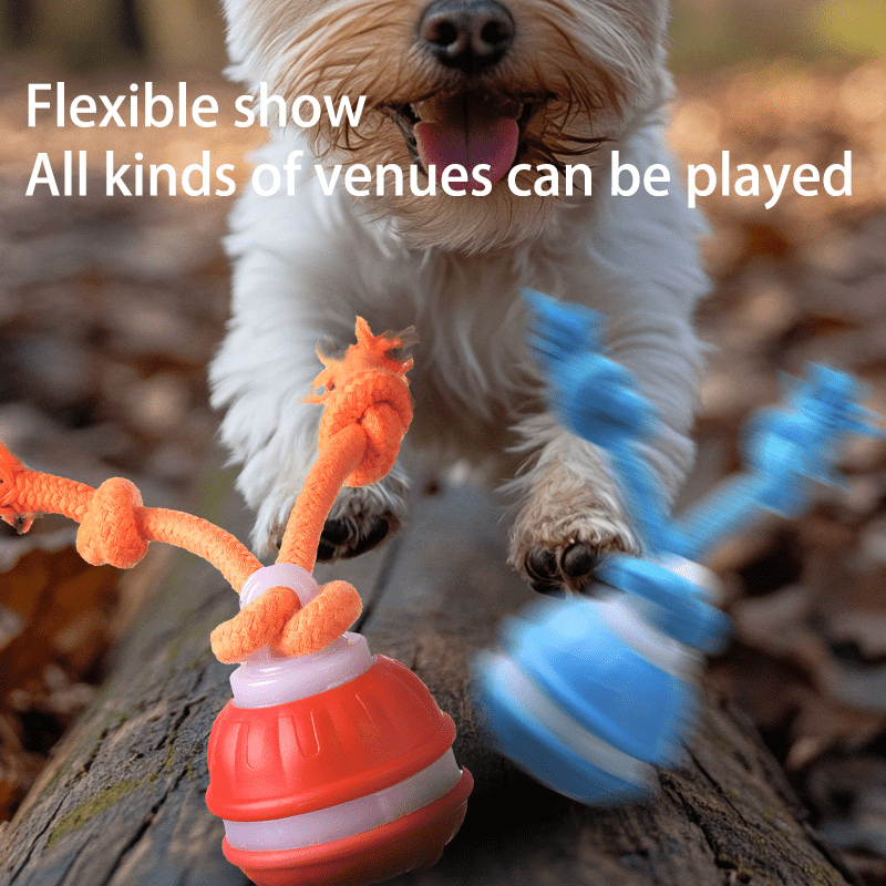 Interactive Dog Toys Ball, Fun Moving Motion Activated Dog Ball Toys to Keep Them Busy, Rechargeable Smart Automatic Rolling Dog Ball for Small Puppy Dogs
