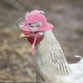 thumbnail image 3 of Funny Chicken Hats for Stylish Poultry Accessories Adjustable Design Elastic Strap Feather for Hens Roosters and Parrots, 3 of 3
