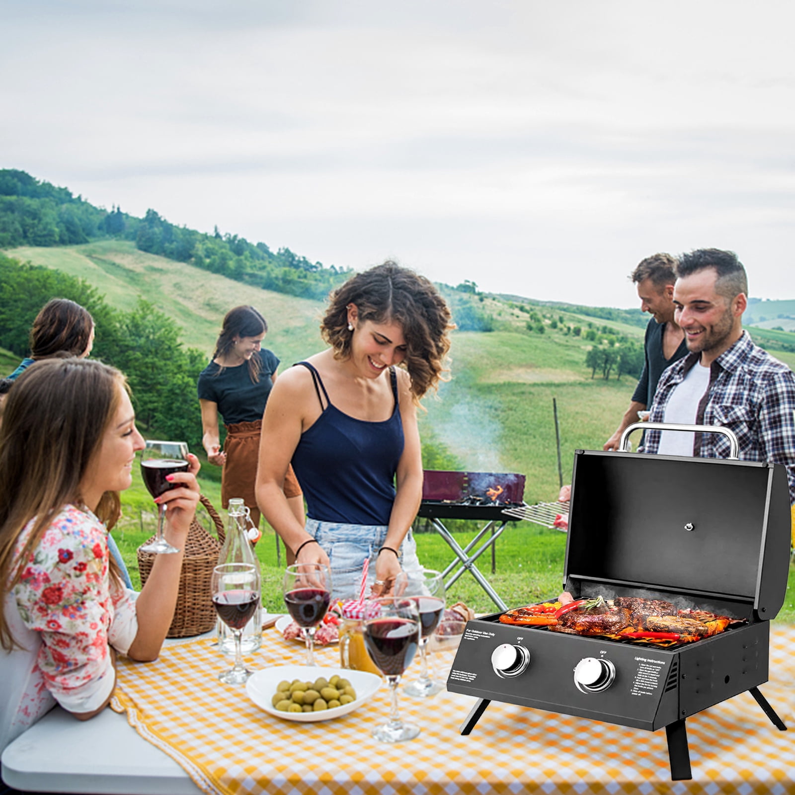 Vebreda 2 Burner Portable Gas Grill Stainless Steel Propane Grill, Black Camping Grill